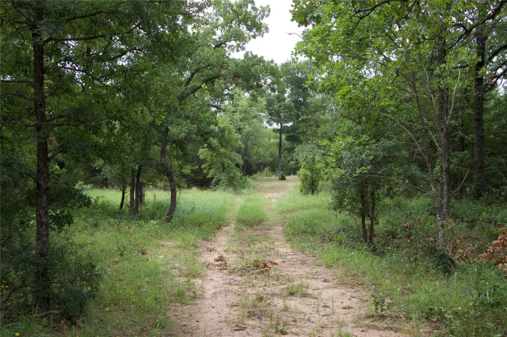 Picture 34