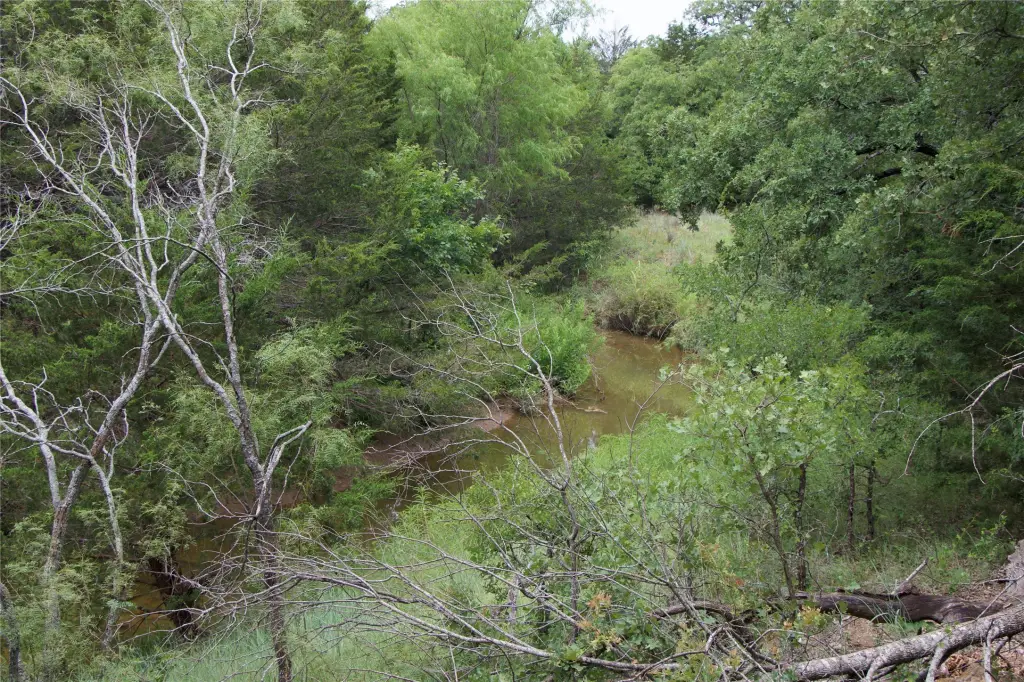 Picture 30