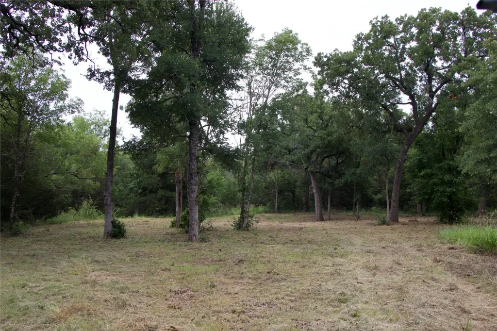 Picture 25