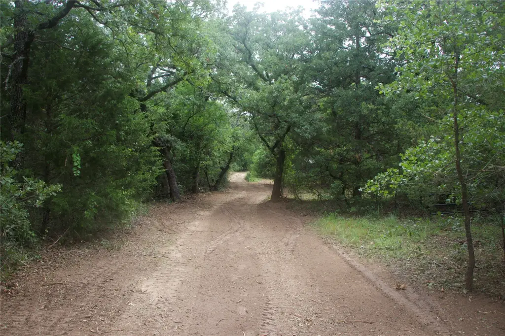 Picture 13