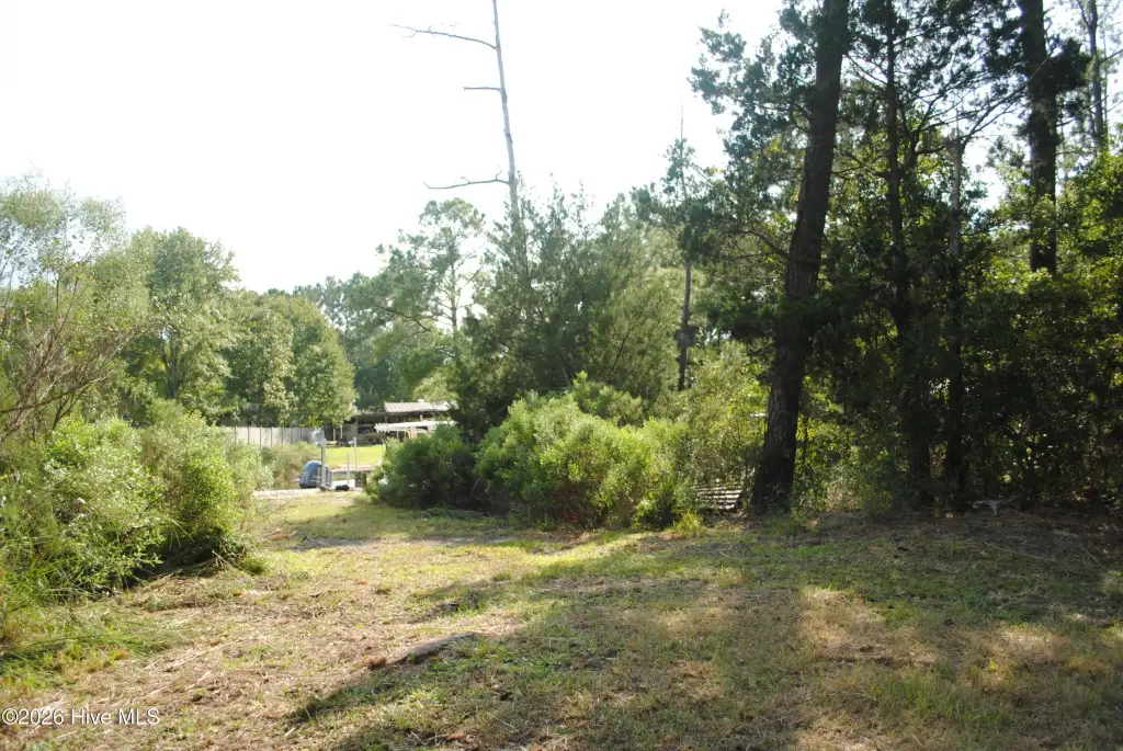Picture 17