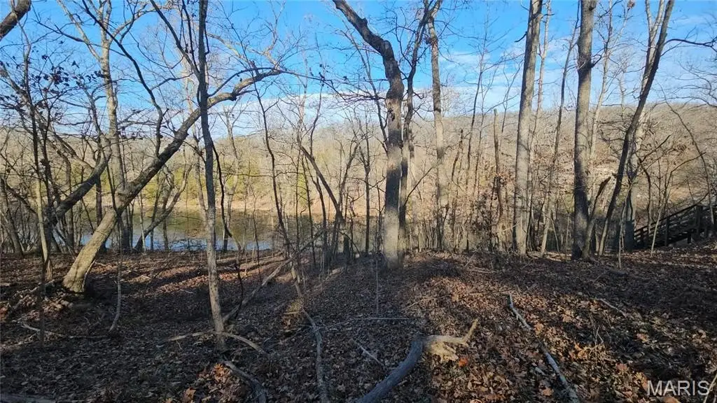 Picture 4