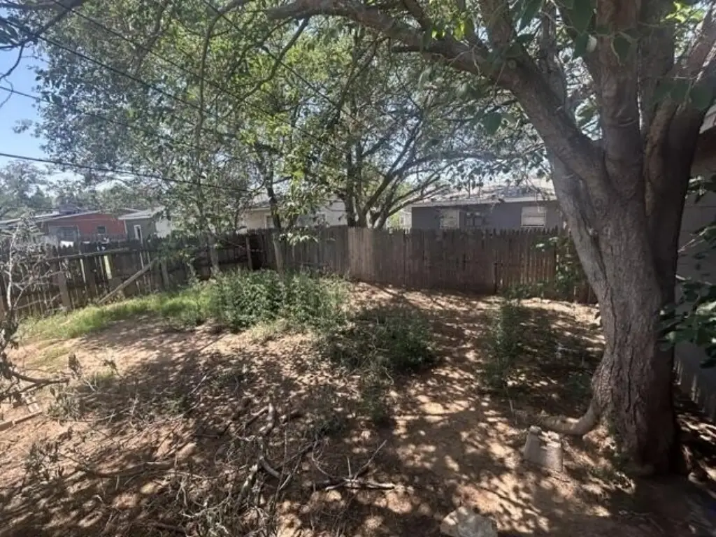 Picture 17