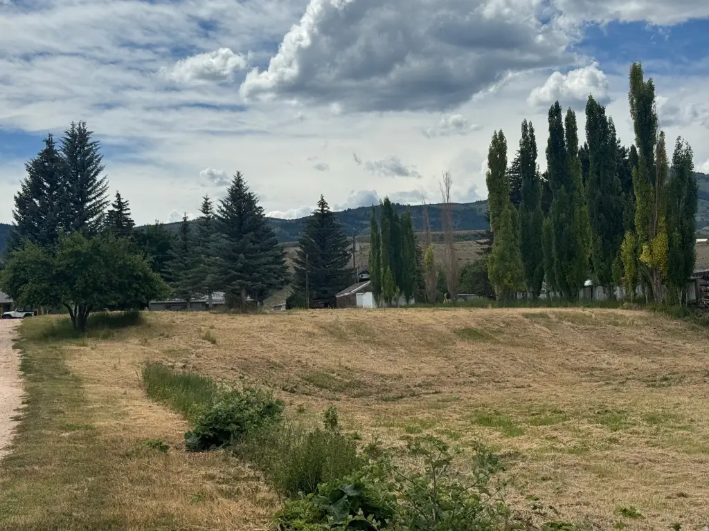 Picture 5