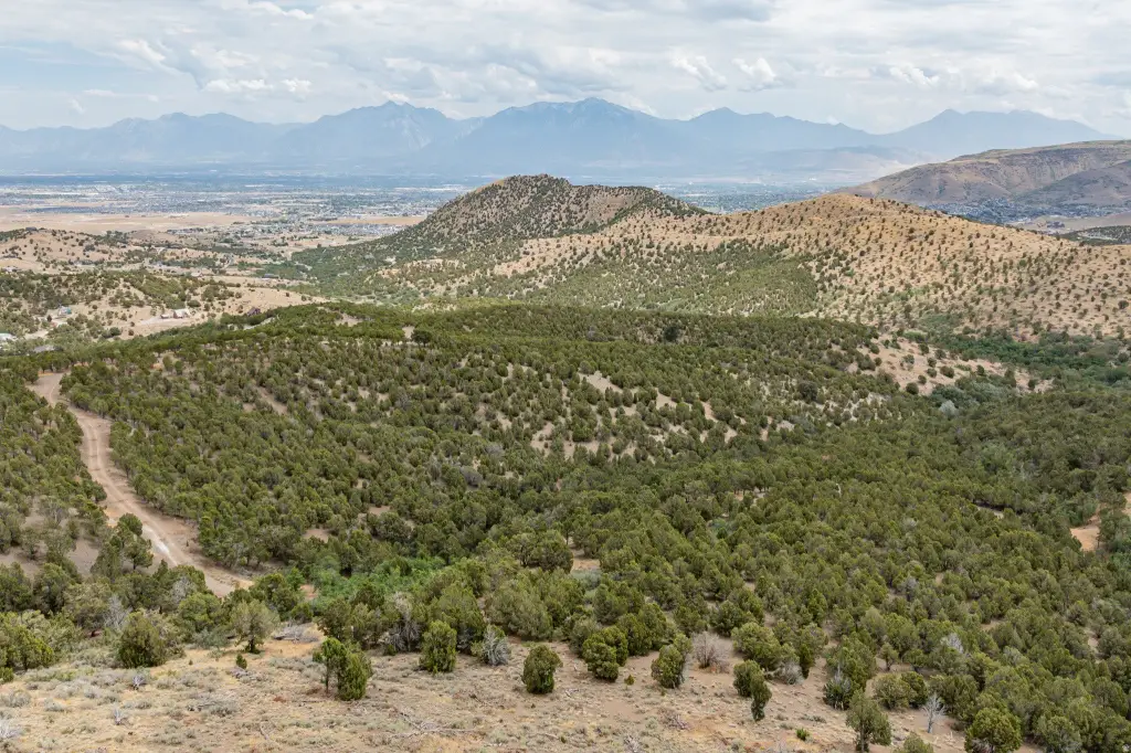 Picture 24