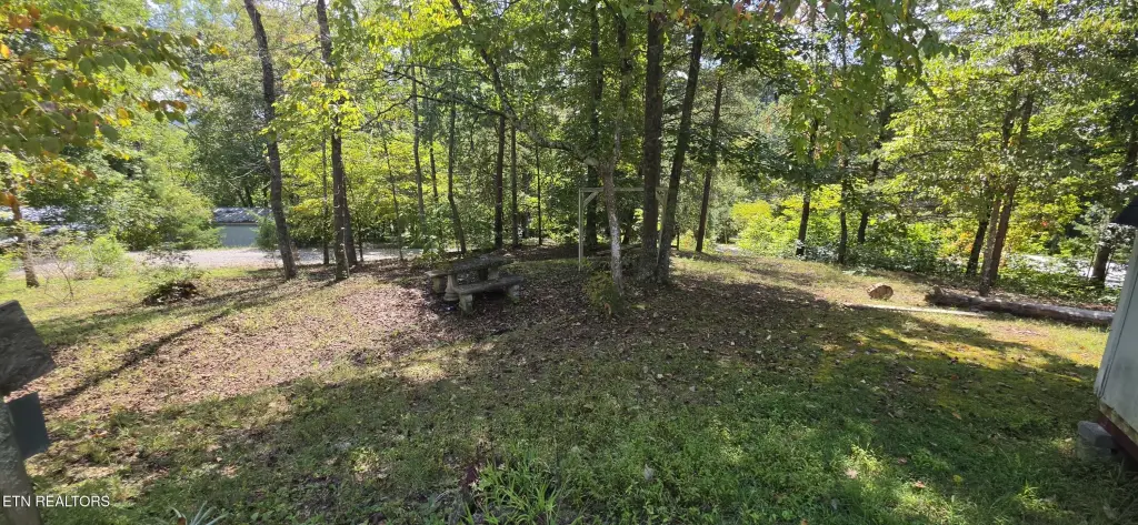 Picture 25