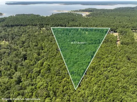 East Texas Land Near Lake