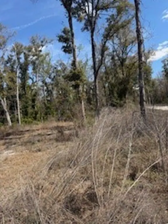 Picture 4