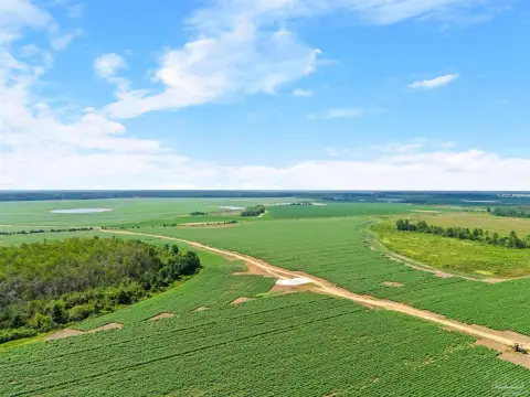 Cleared Agricultural Land
