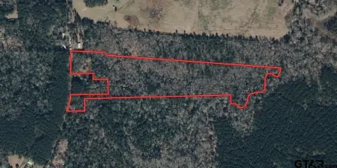 Heavily Wooded Recreational Land