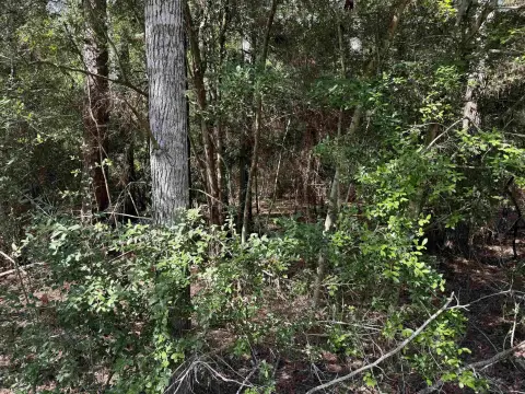 Rayburn Country Lot For Sale