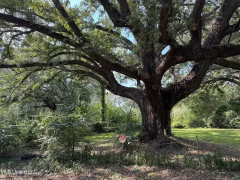Gulfport Land Opportunity
