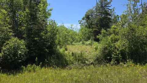 Buildable Land Near Lake Huron