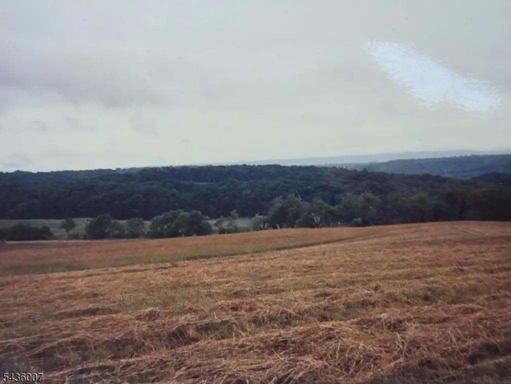 Picture 36