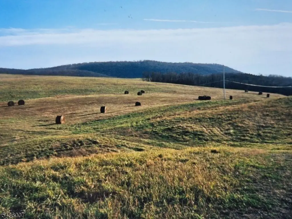 Picture 42