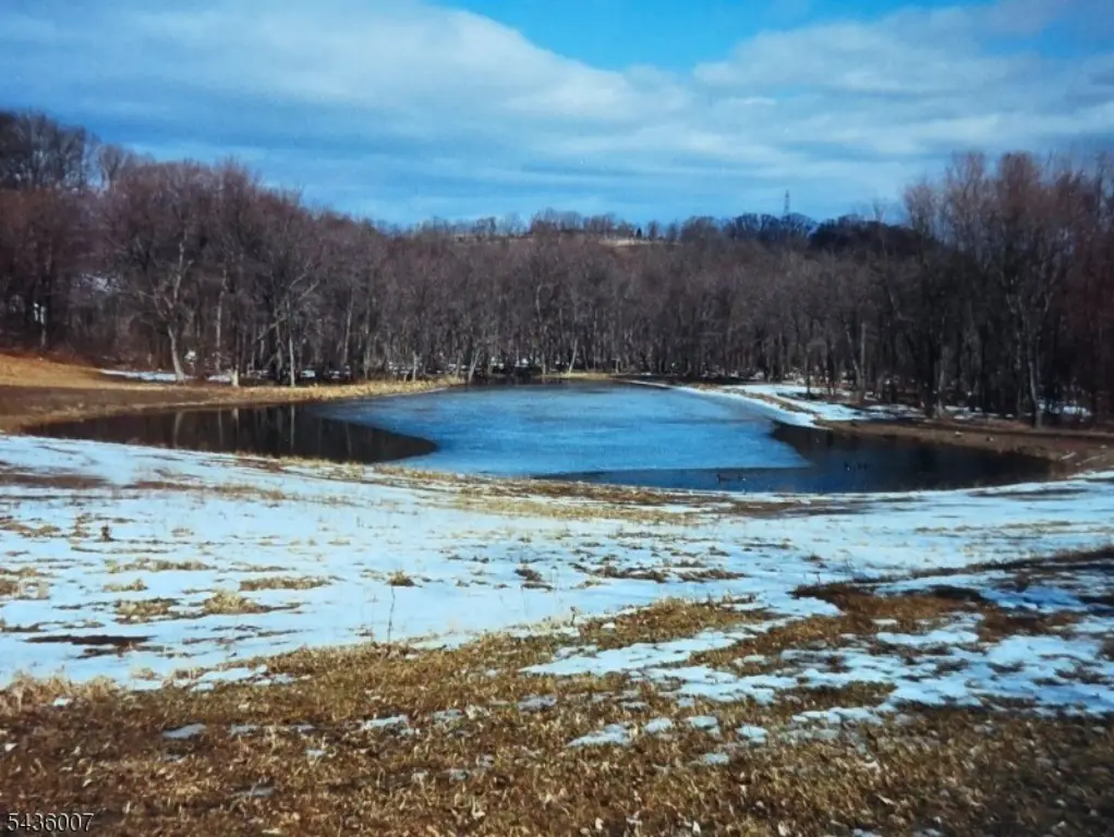 Picture 40