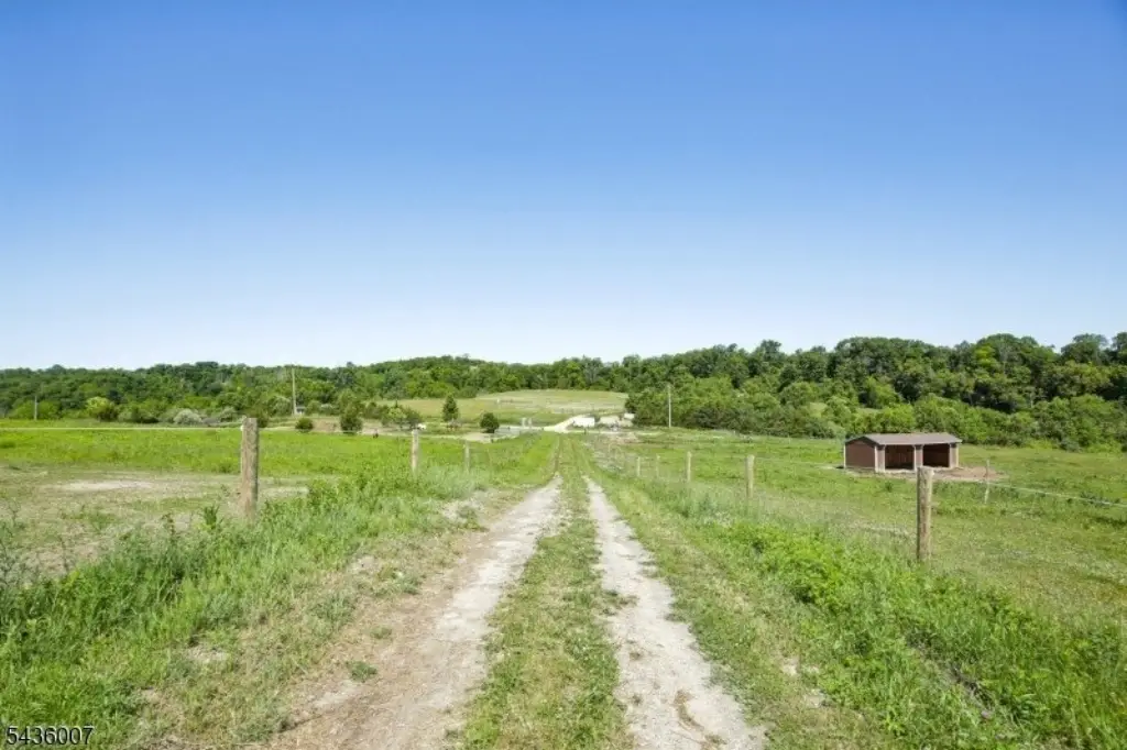 Picture 9