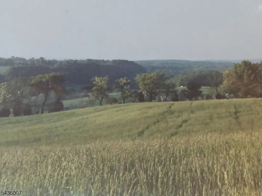 Picture 37