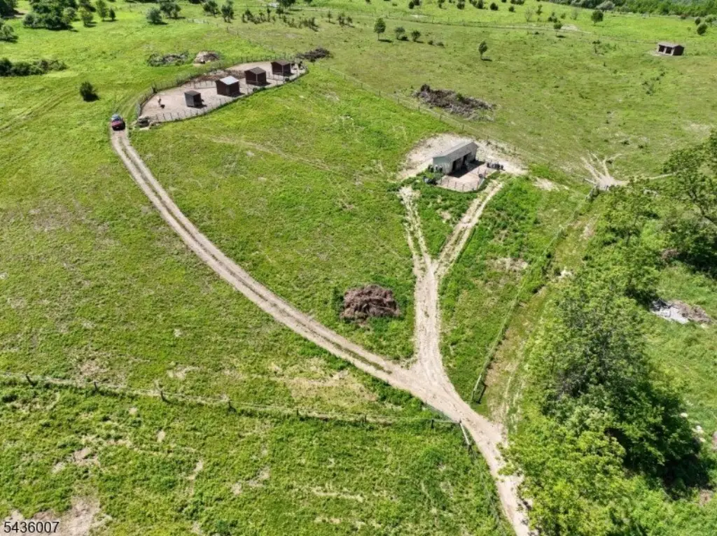 Picture 20