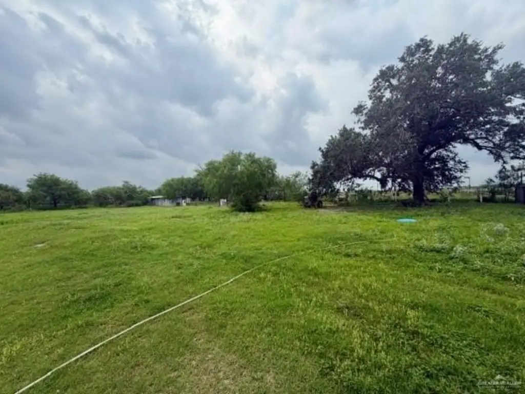Picture 7