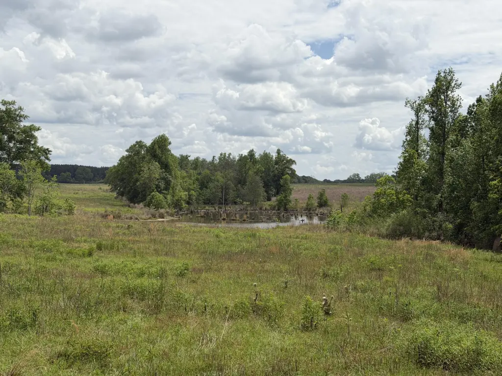 Picture 2