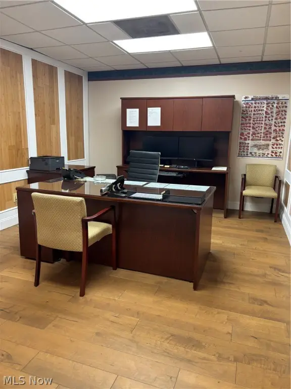 Picture 19