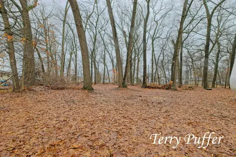 Land in Orchard View Schools