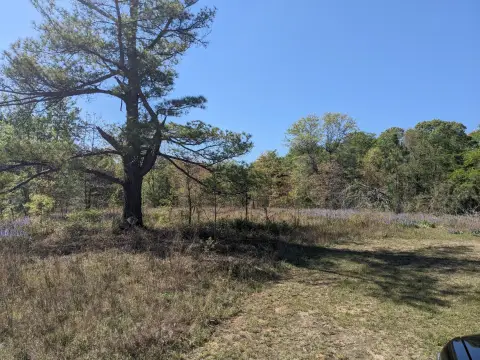 Commercial Land