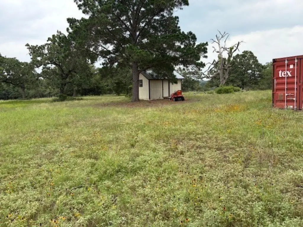 Picture 14