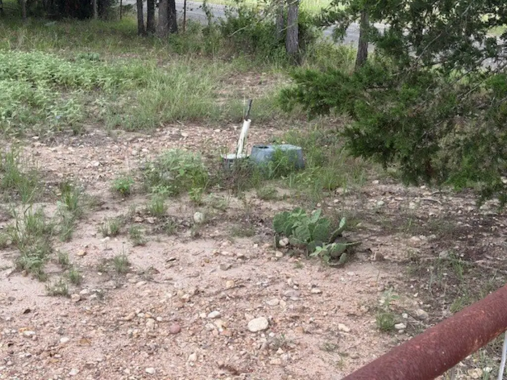 Picture 19