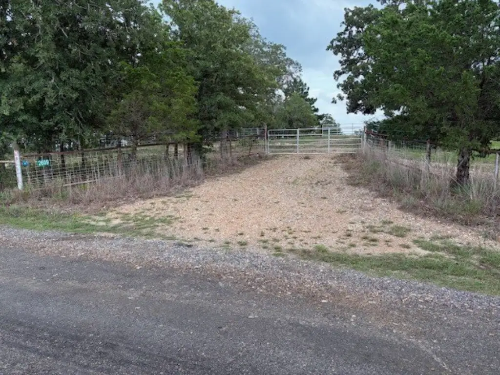 Picture 8