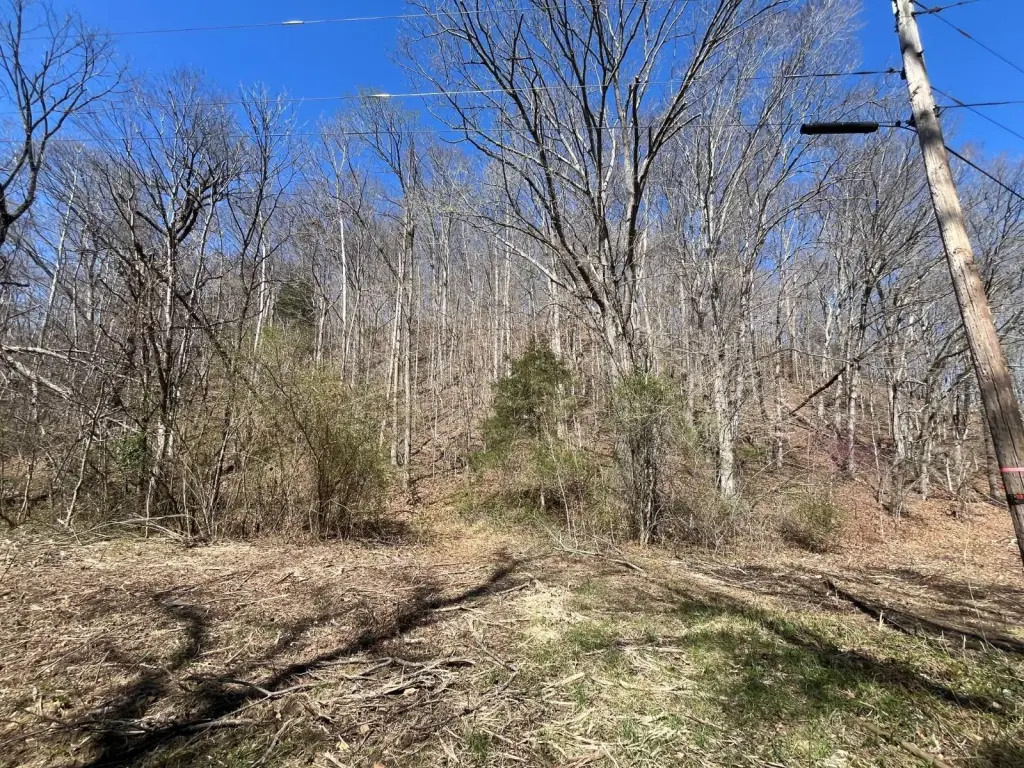 Picture 18