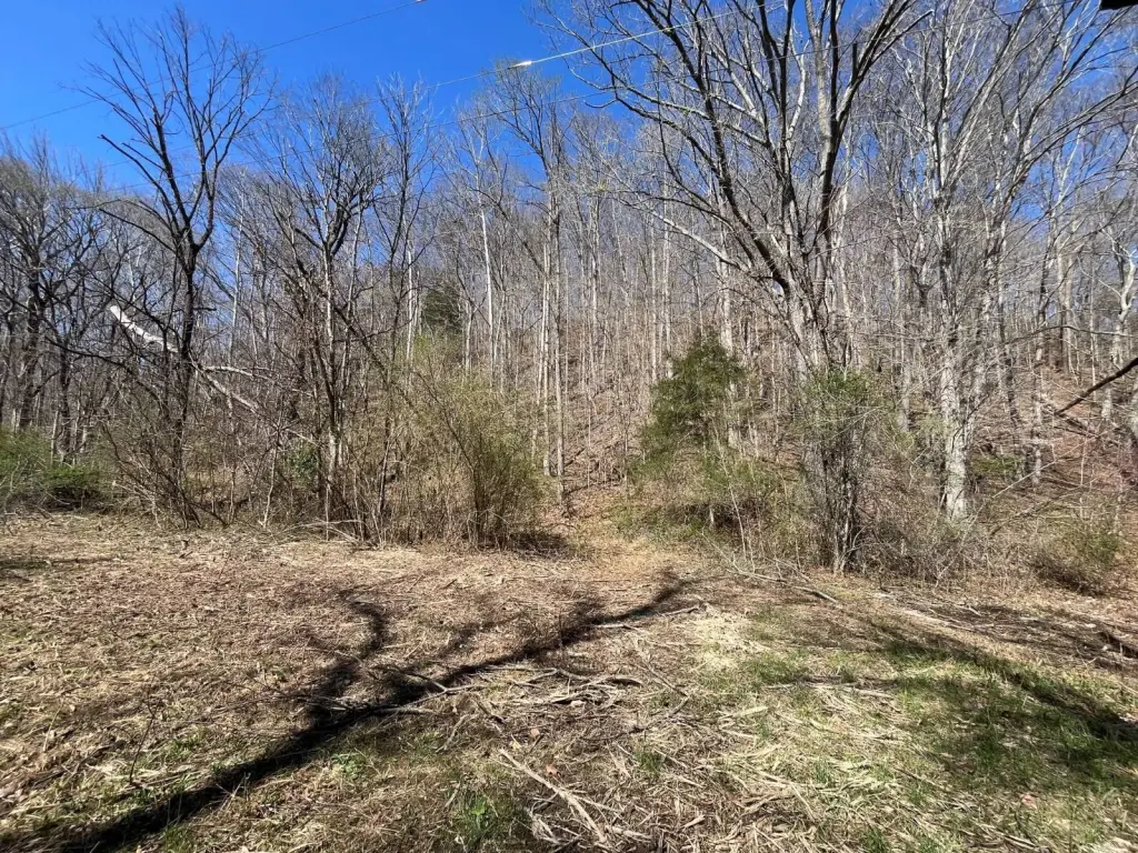 Picture 17