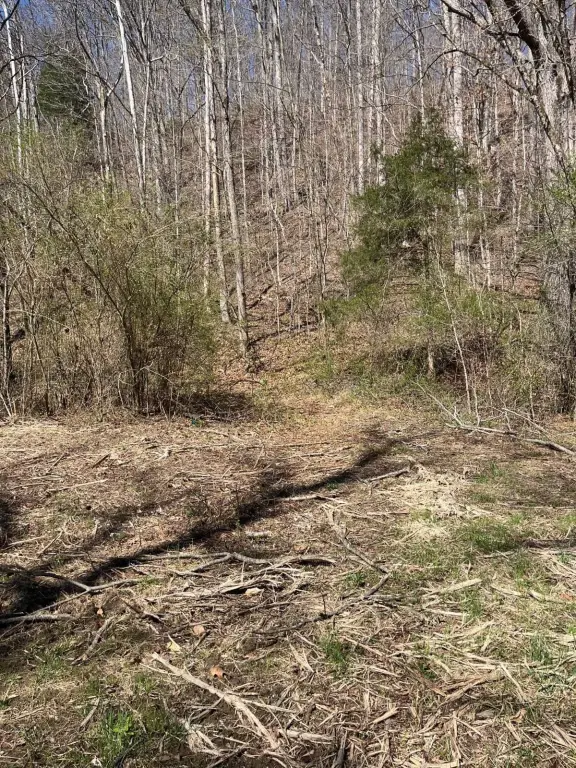Picture 16