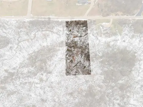 Residential Lot in Wooded Area