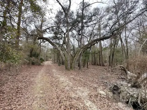 Land Near Hart Springs Park