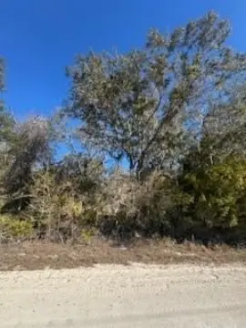 5 Acre Parcel Near Suwannee