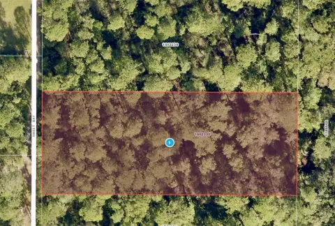 Residential Land in Deland, Florida