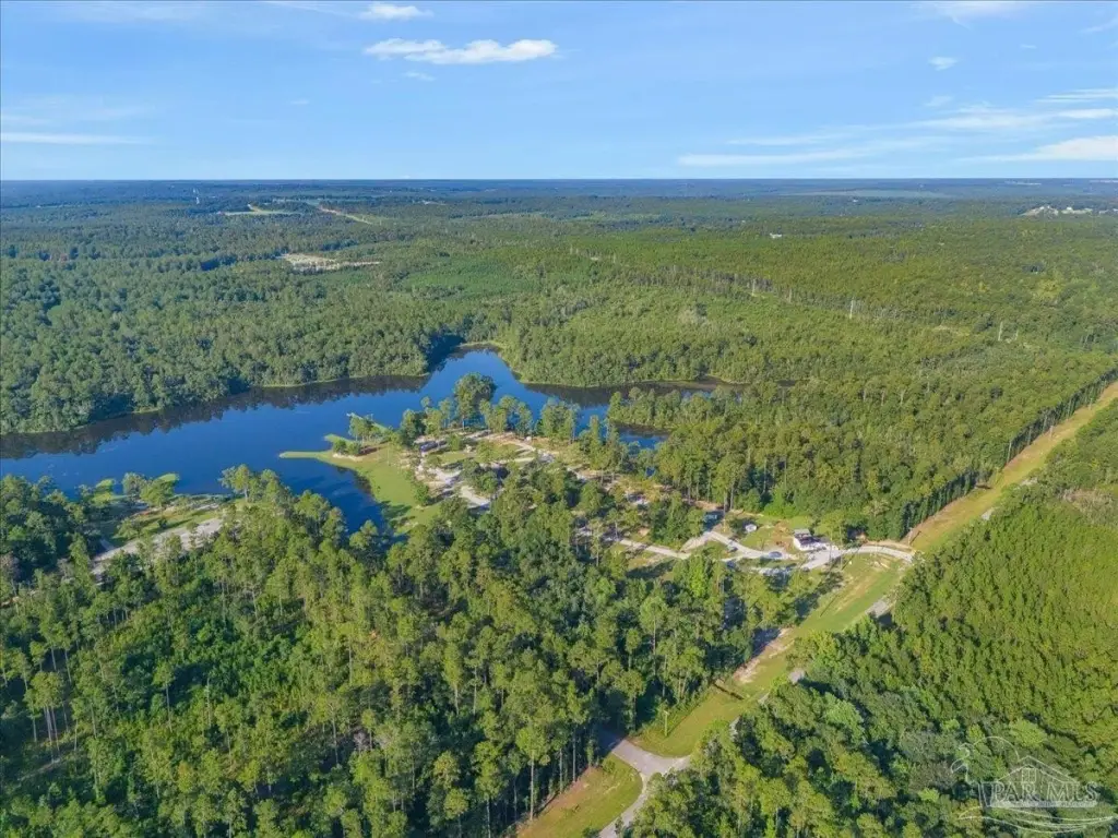 Picture 10