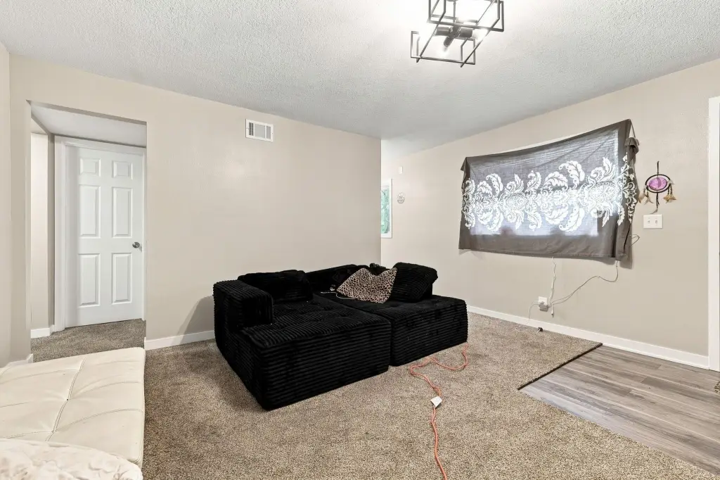 Picture 14
