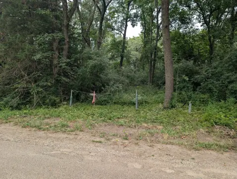 Wooded Waterfront Lot