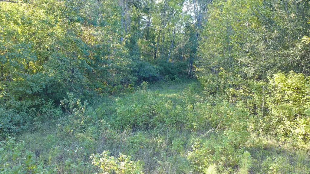 Picture 16