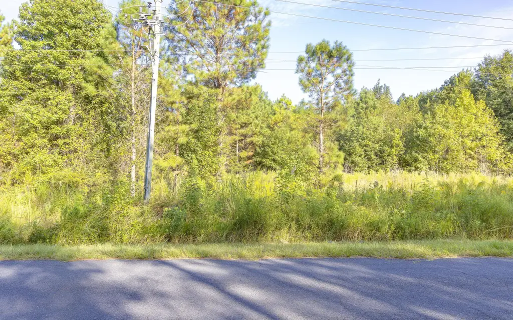 Picture 12