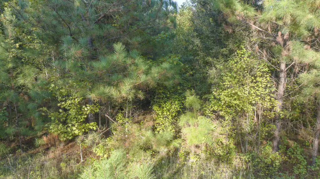 Picture 19