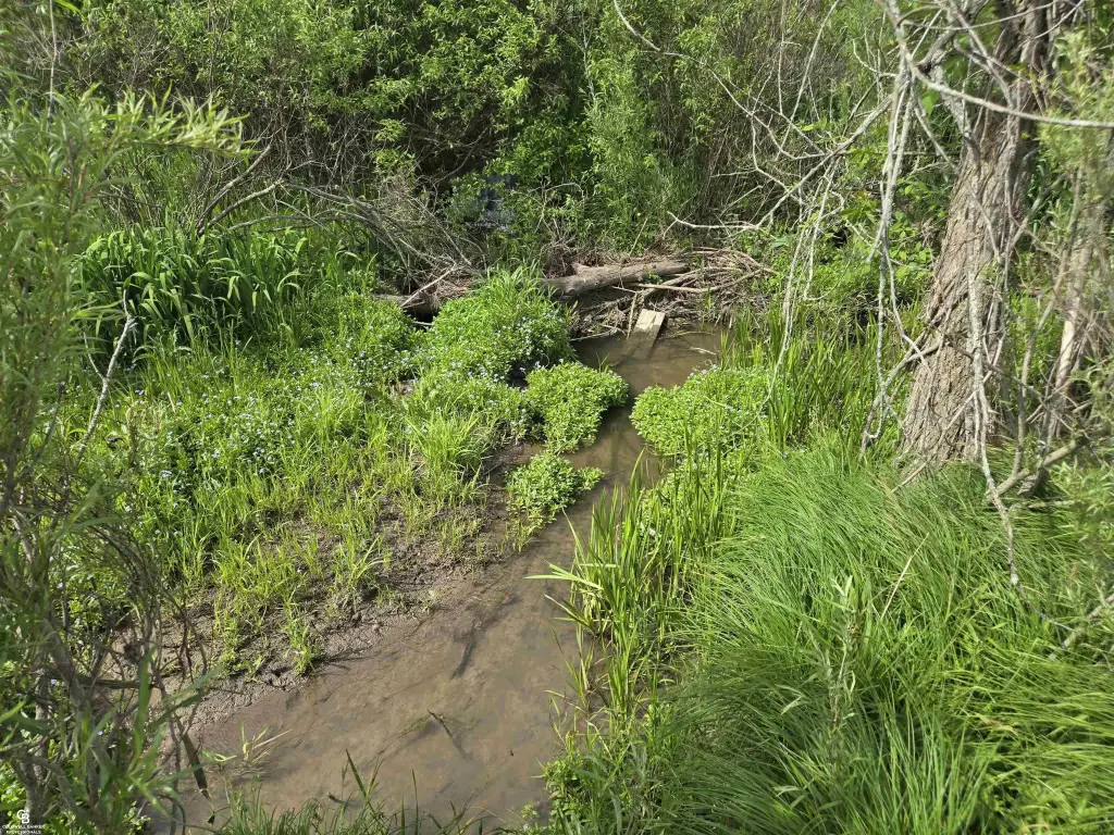 Picture 15
