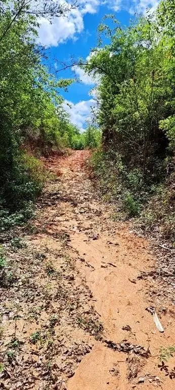 Picture 16