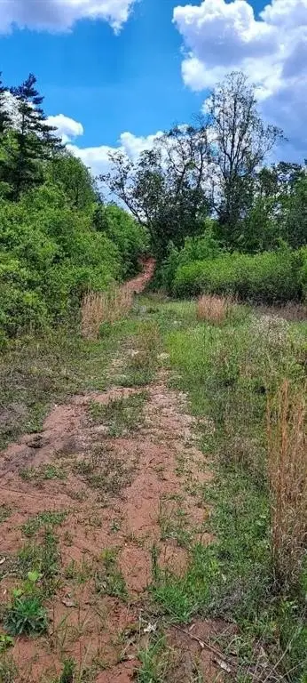 Picture 19