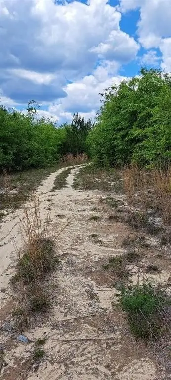 Picture 12