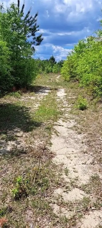 Picture 4
