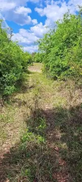 Unrestricted Land in Semmes, Alabama
